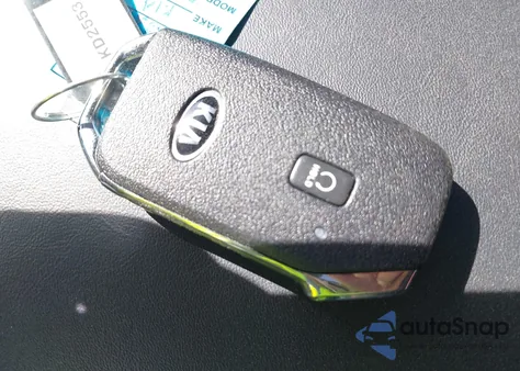 2021 Kia Telluride Ex from USA, damaged, VIN 5XYP3DHC9MG113716